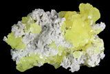 Sulfur Crystals on Matrix - Italy #92615-1